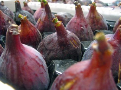 Fresh Figs Fresh Figs