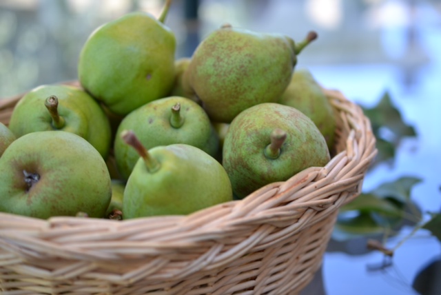 Basket of Pears
