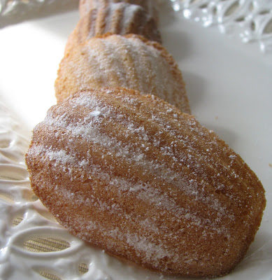 Sweet Madeleines for Tuesdays with Dorie