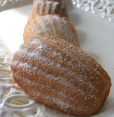 Sweet Madeleines for Tuesdays with Dorie
