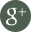 Google Plus