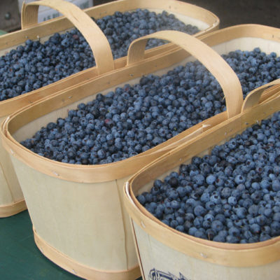 The Canadian Experience Food Project: Saguenay-Lac-Saint-Jean Wild Blueberries
