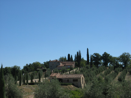 View from Castello Meleto