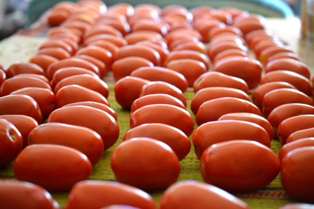 Preserving tomatoes fresh
